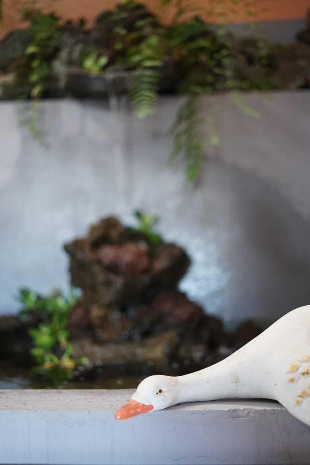 Gardens Guest House São Vicente 外观 照片